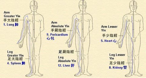 Twelve Regular Meridians In Acupuncture Treatment