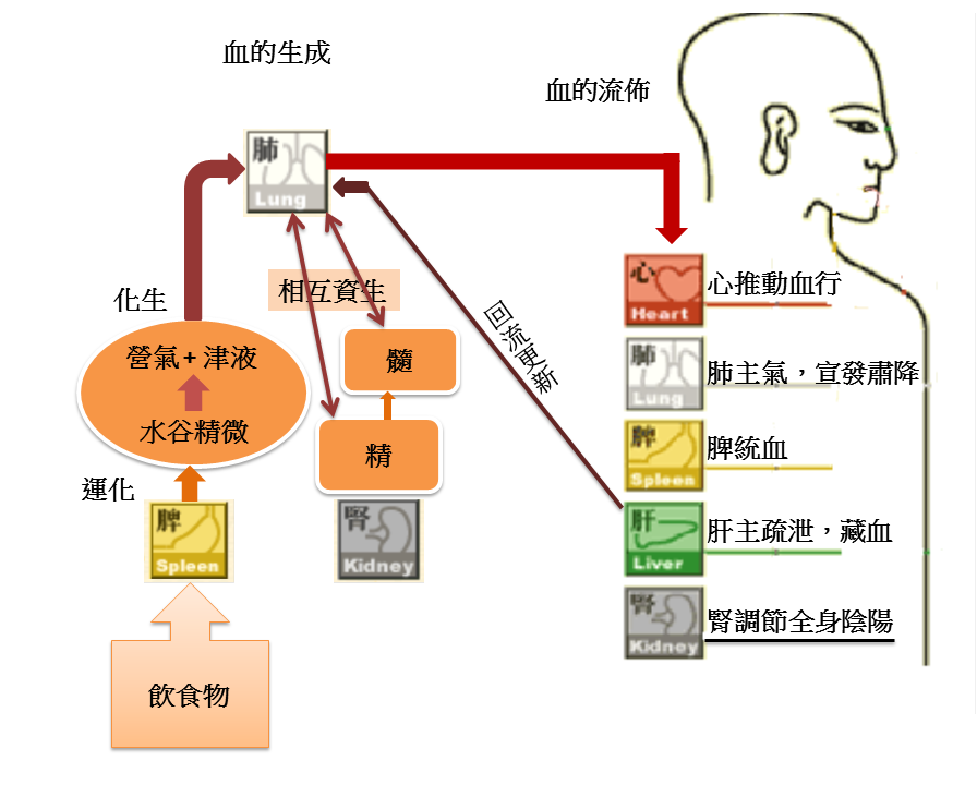 中醫的血