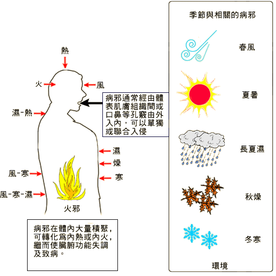 中醫六淫致病特點