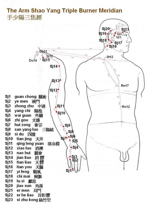 手少陽三焦經