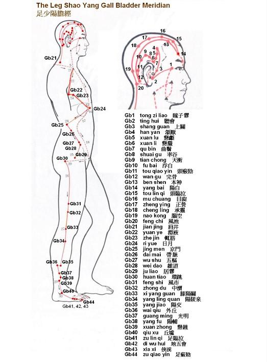 足少陽膽經