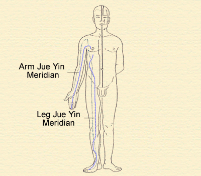 6. Jun Yin Meridians