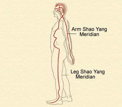 2. Shao Yang Meridians