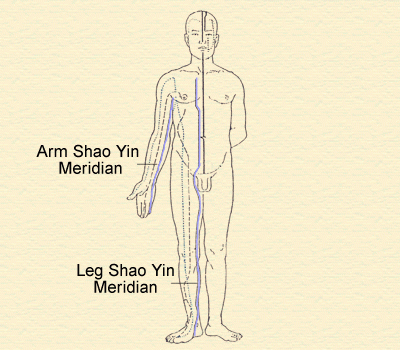 5. Shao Yin Meridians