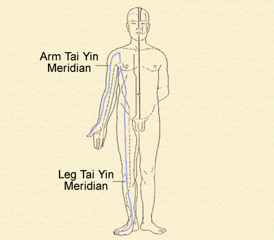 4. Tai Yin Meridians