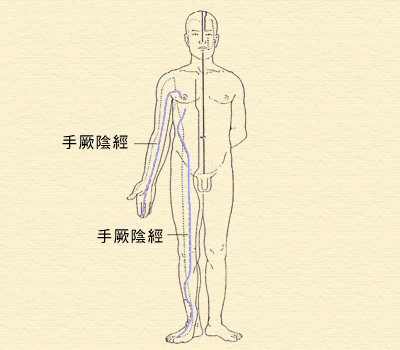 6. 厥陰經(心包經、肝經)