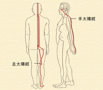 1. 太陽經 (小腸經、膀胱經)