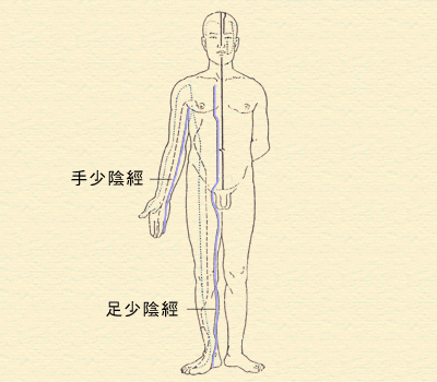 5. 少陰經 (心經、腎經)