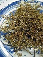 sweet wormwood herb (qing hao)