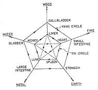 中醫五行與臟腑圖