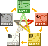 五臟生克平衡關係