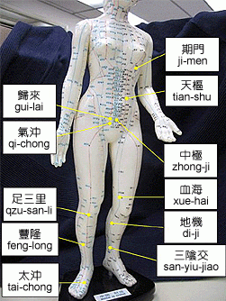 閉經選擇穴位