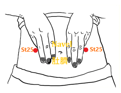 Acupoint, tian shu (st25), promotes bowel functioning Acupoint, tian shu (st25), promotes bowel functioning