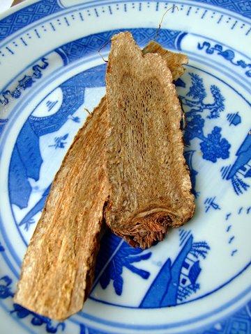 costus root