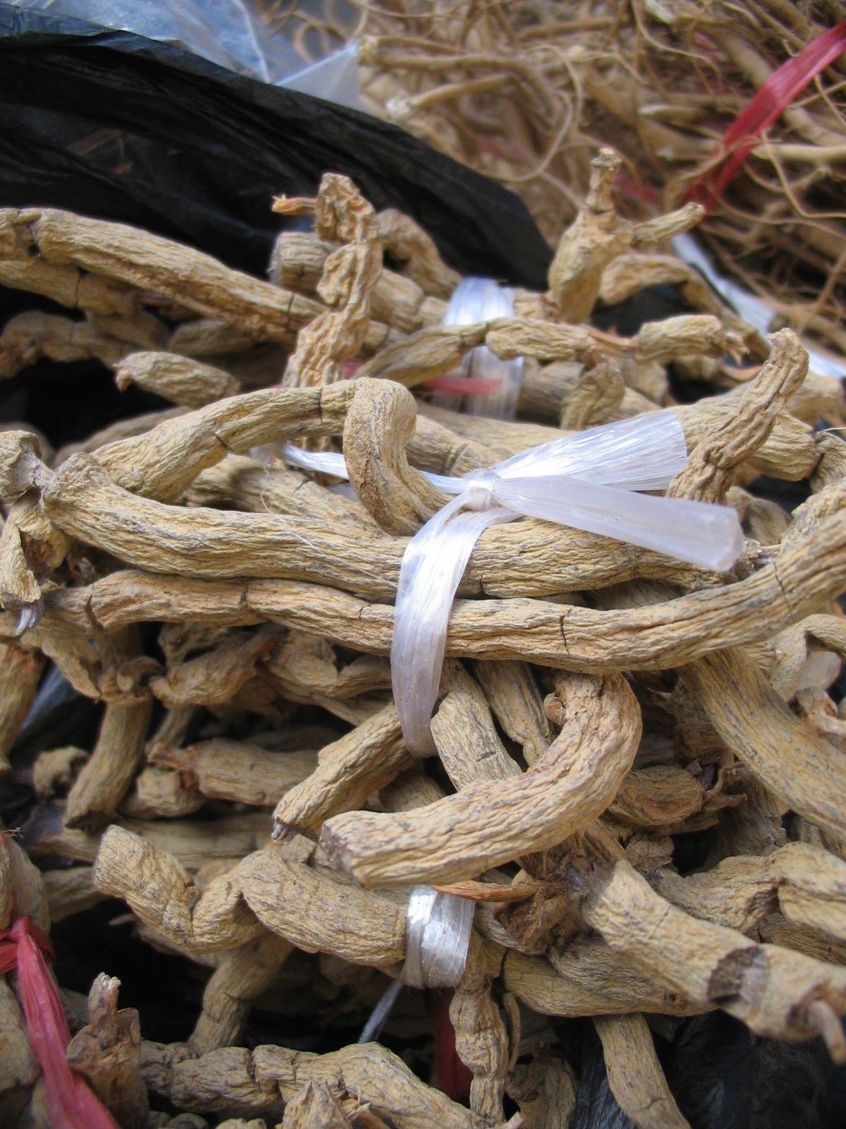 Chinese senega