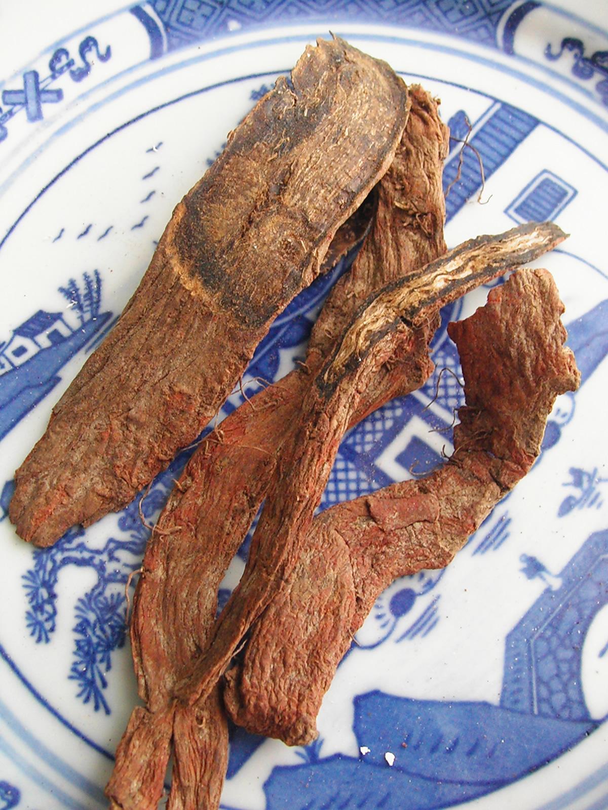 red sage root