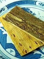 amur corktree bark amur corktree bark