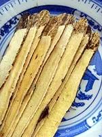 astragalus root astragalus root