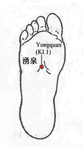 acupoint yong quan K1 acupoint yong quan K1