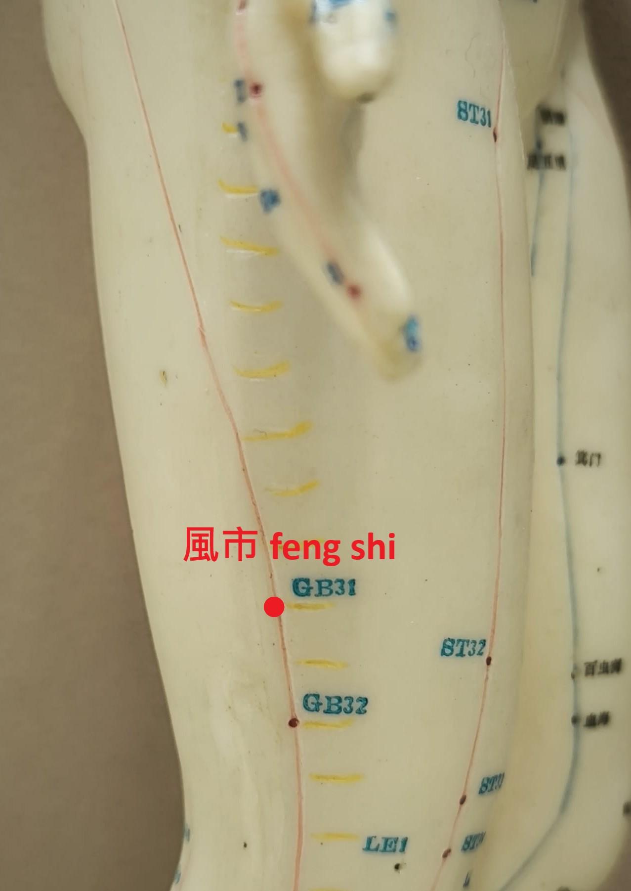 feng shi Gb31 feng shi Gb31