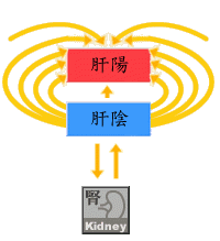 水能涵木