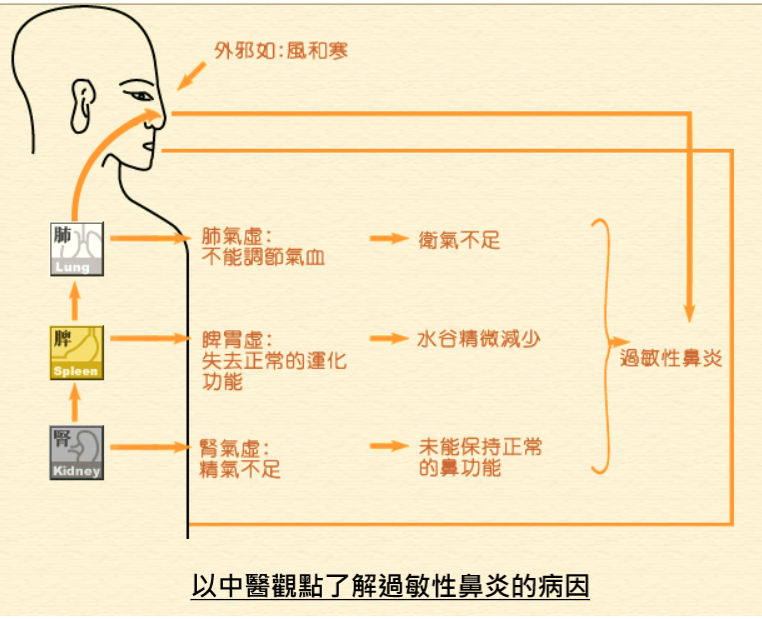 中醫了解過敏性鼻炎的病因 中醫了解過敏性鼻炎的病因