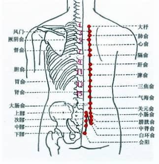 膀胱經第一段