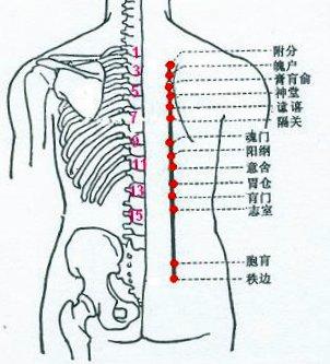 膀胱經第二段