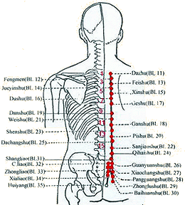 Bladder meridian route I