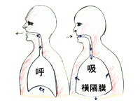 自然呼吸