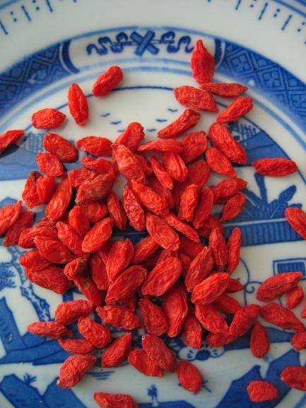 Wolfberry / Goji