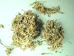 Oriental wormwood helps liver functioning and breakdowns fats.