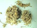 茵陳疏肝利膽