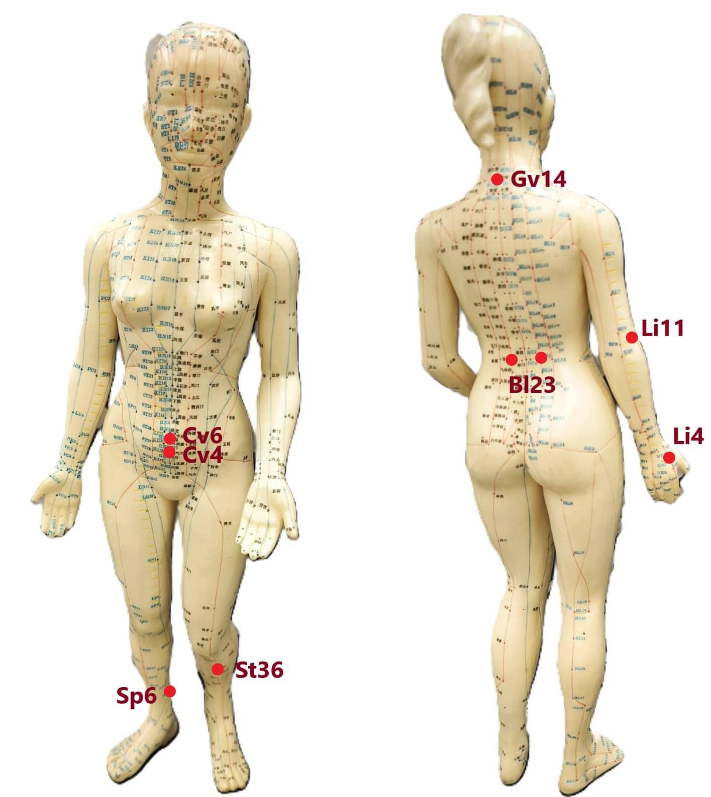 Body acupoints for heat-related problems Body acupoints for heat-related problems