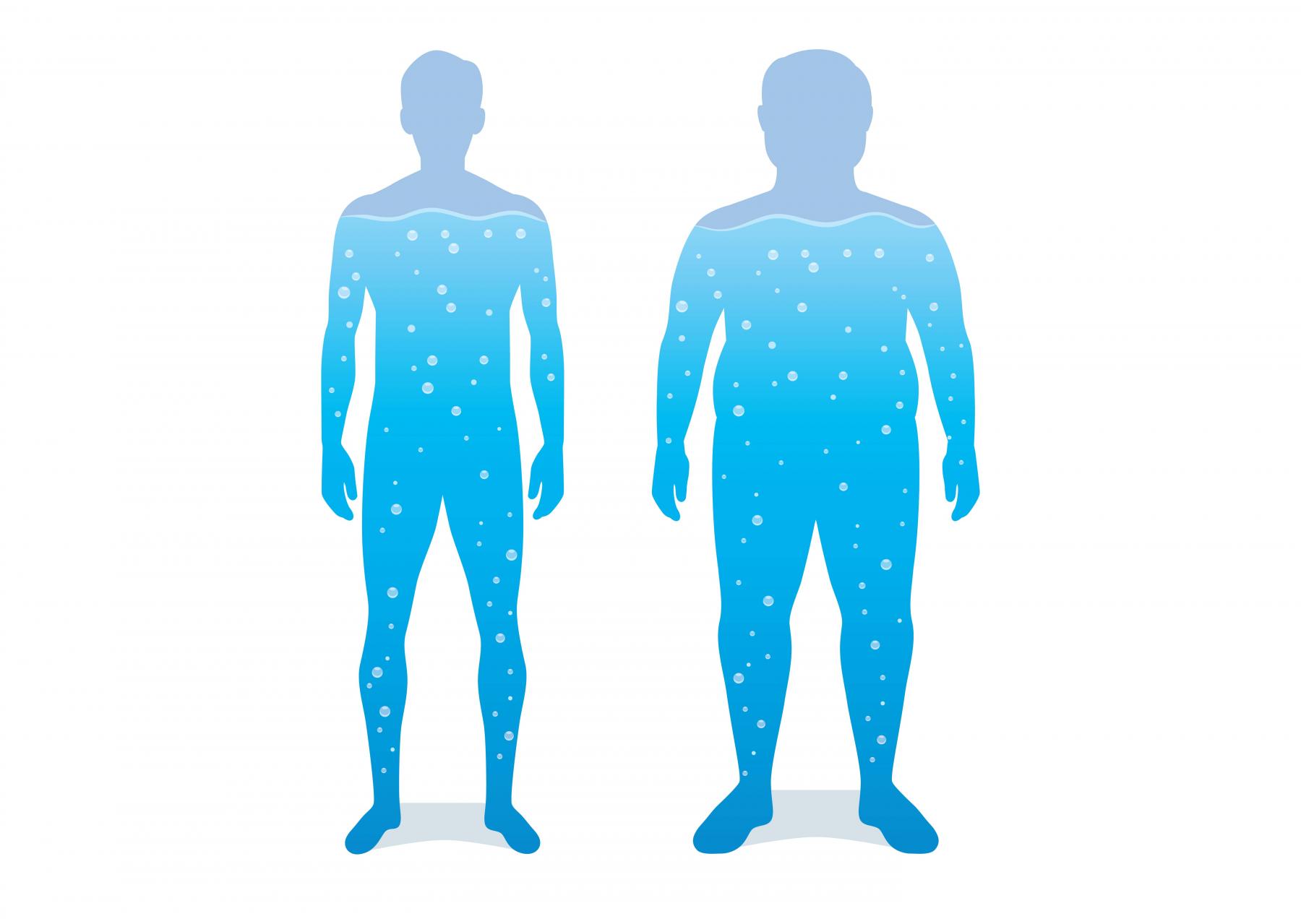 人體水分佔體重約50-70%,但會因年齡、性別、體脂肪比例等因素而有所不同。 人體水分佔體重約50-70%,但會因年齡、性別、體脂肪比例等因素而有所不同。