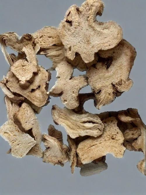 Largehead atractylodes rhizome Largehead atractylodes rhizome