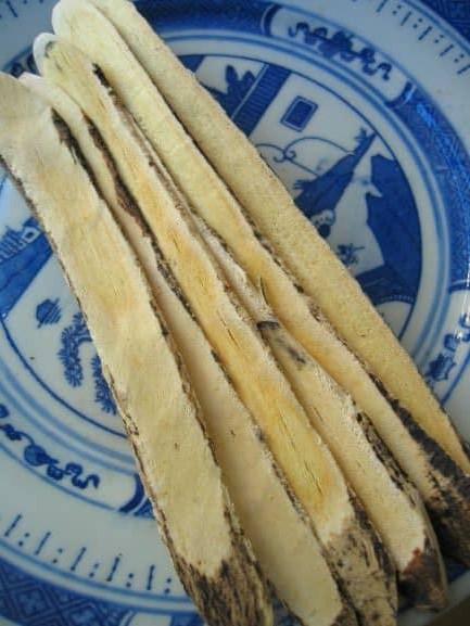 astragalus root