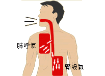 以中醫觀點看正常呼吸運動