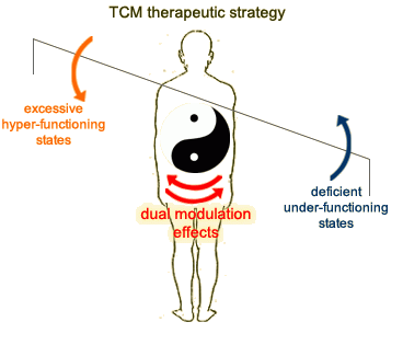 TCM therapeutic methods are usually focused on regulating the whole body and possession of dual modulation effects.