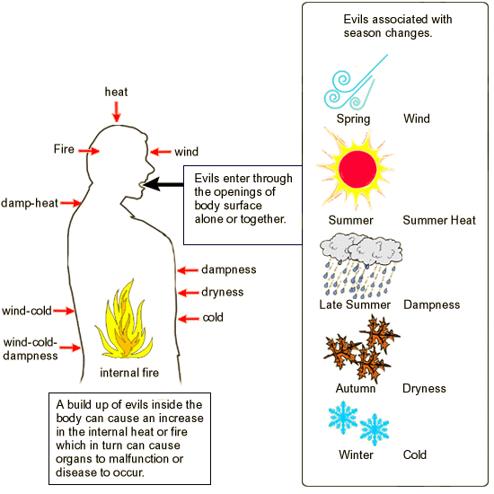 The pathogenic features of the six TCM evils