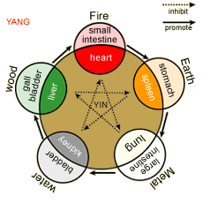 The five elements and their relationships with the body's organs