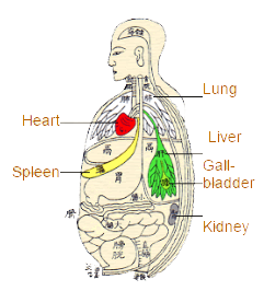 FireShot Capture 26 - Hepatitis _ Definitio_ - http___shen-nong.com_eng_health_hepatitis_define.html