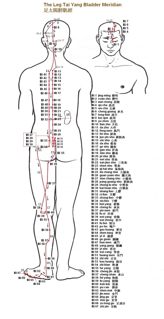 Leg Tai Yang Bladder Meridian