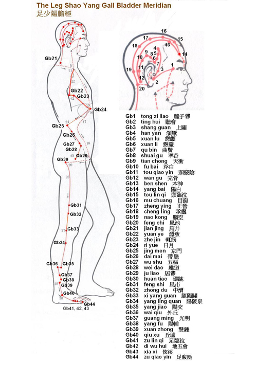 Leg Shao Yang Gall Bladder Meridian