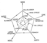 The five elements and organs diagram