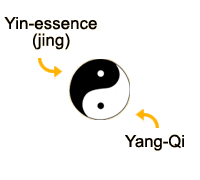 Essence and qi come under different categories.