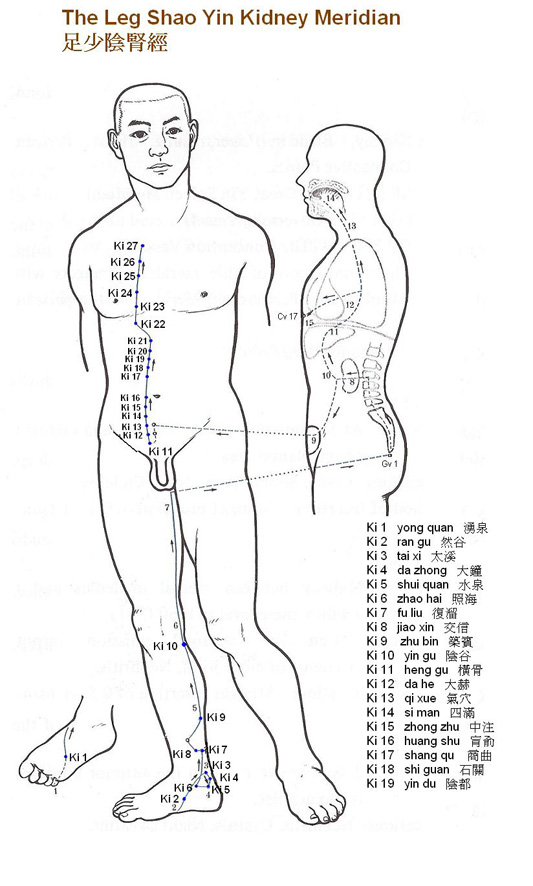 Leg Shao Yin Kidney Meridian