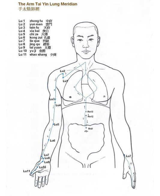 Arm Tai Yin Lung Meridian