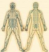 Meridian system of the body