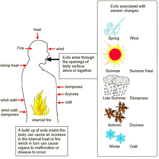 The pathogenic features of the six evils